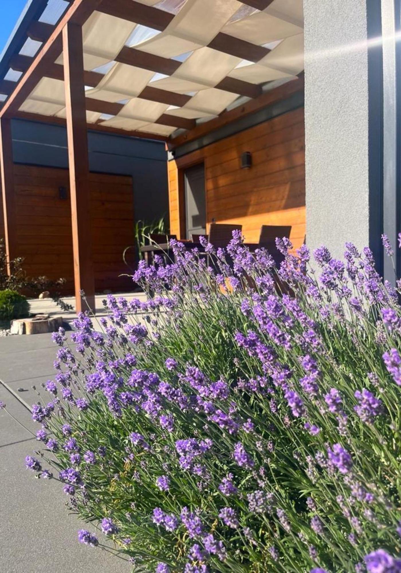 Cisza Bungalows Village / Blisko Natury Nowecin Dış mekan fotoğraf
